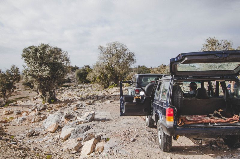 No Car, No Plans, No Problem: a Christmas Family Road Trip